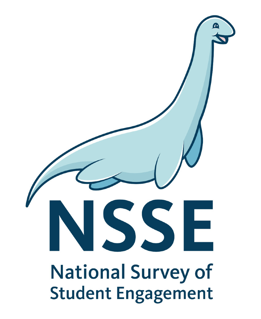 NSSE Logo